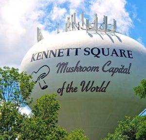 roofing contractor in kennett square pa